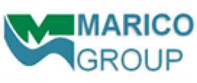 Logo Marico Group
